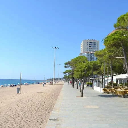 Ely Palace 11 Playa De Aro * Platja d'Aro (Playa de Aro)